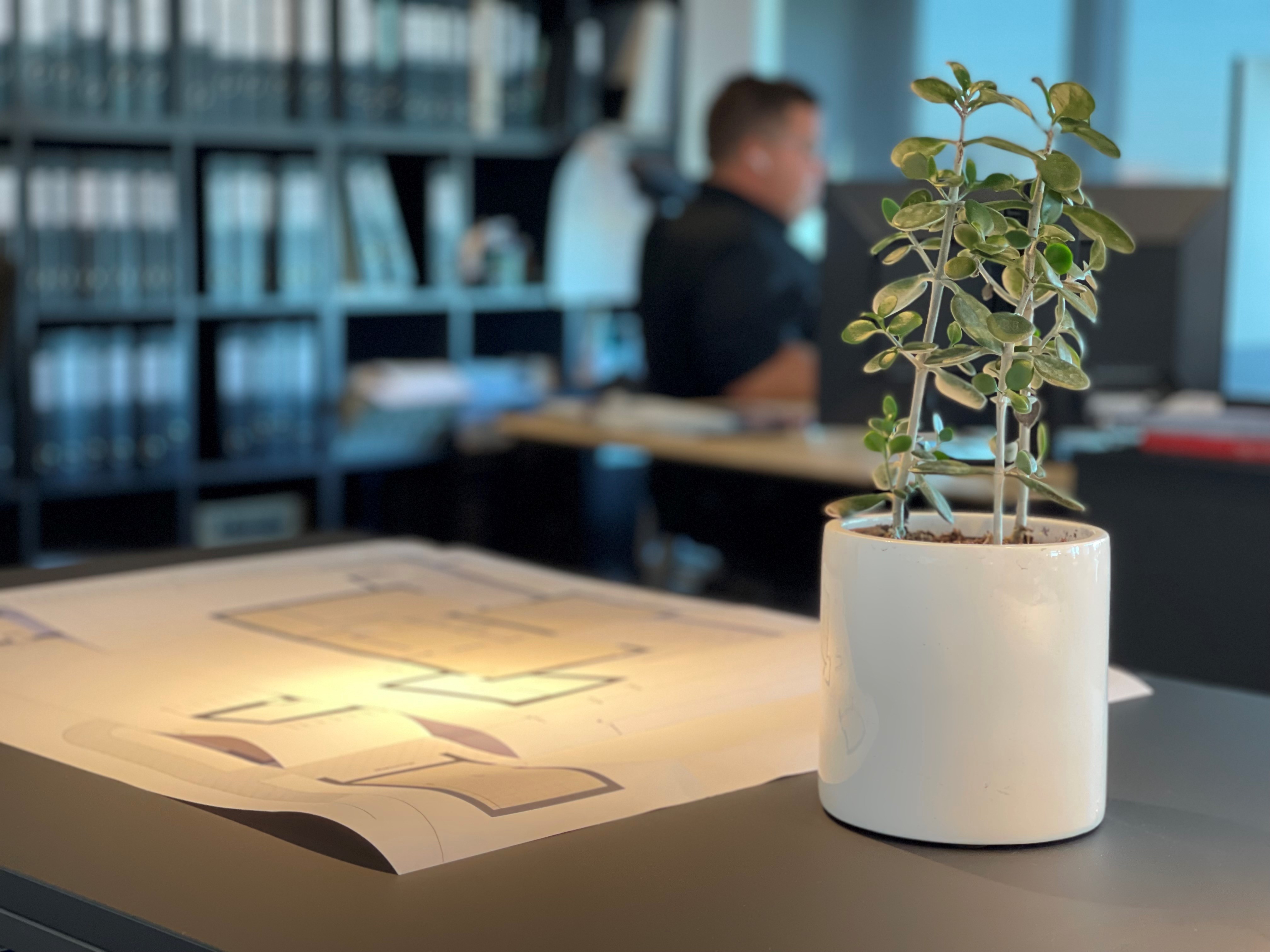 Stemningsbilledelolk