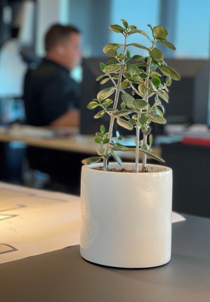 Stemningsbilledelolk